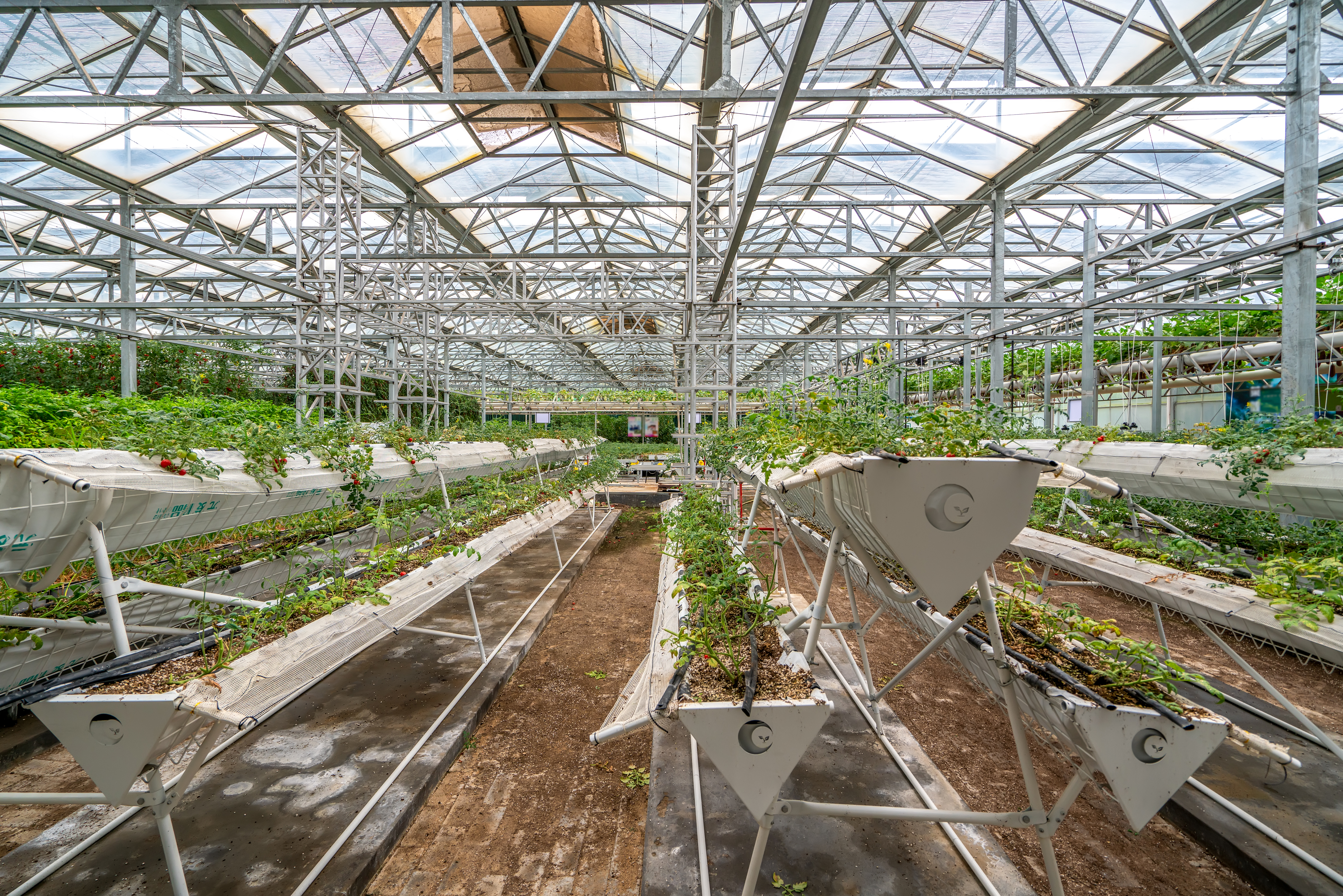 Humidity Recommendation Logo